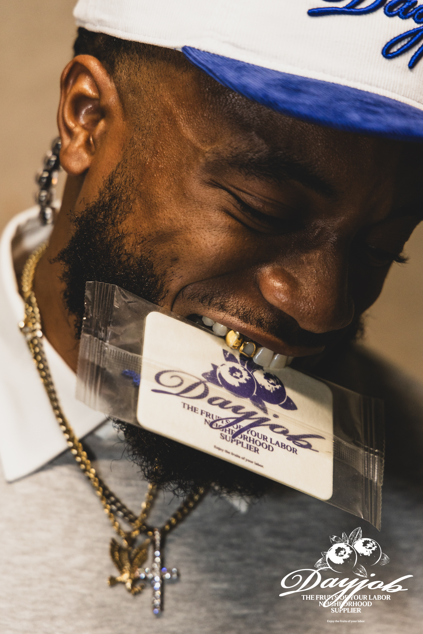 BLUEBERRY AIR FRESHENER